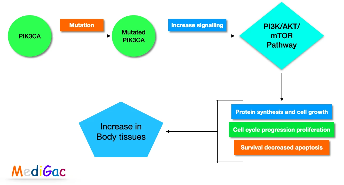 Klippel-Trenaunay syndrom pathophysiology